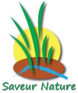 logo-saveur-nature-bio